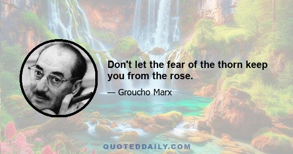 Don't let the fear of the thorn keep you from the rose.