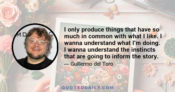 I only produce things that have so much in common with what I like. I wanna understand what I'm doing. I wanna understand the instincts that are going to inform the story.