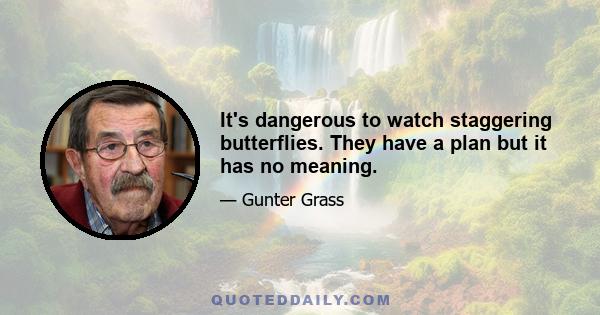 It's dangerous to watch staggering butterflies. They have a plan but it has no meaning.