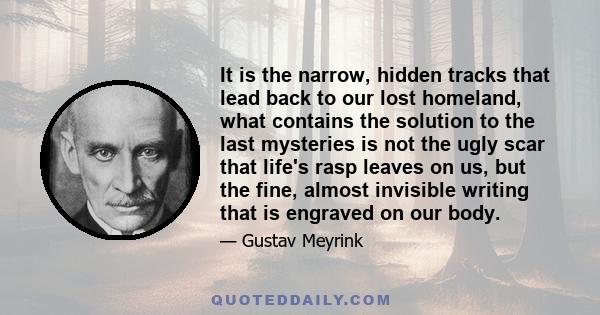 It is the narrow, hidden tracks that lead back to our lost homeland, what contains the solution to the last mysteries is not the ugly scar that life's rasp leaves on us, but the fine, almost invisible writing that is