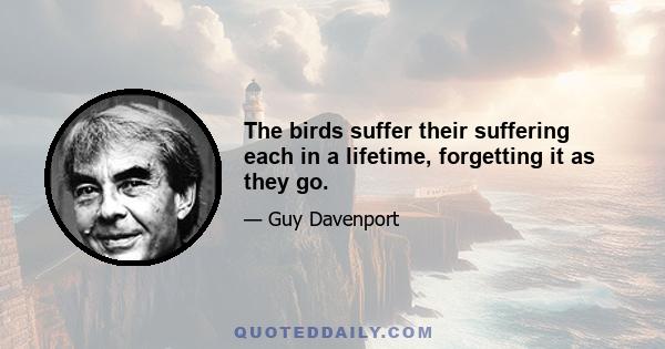 The birds suffer their suffering each in a lifetime, forgetting it as they go.