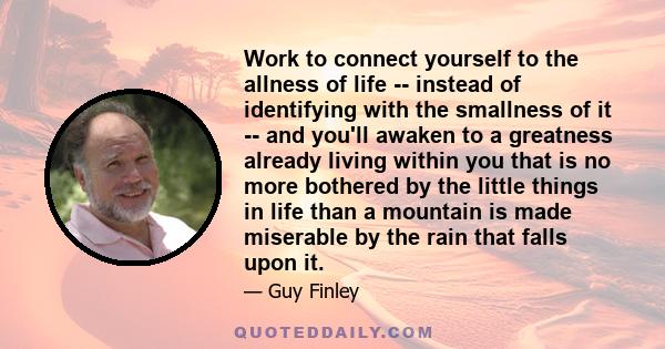 Work to connect yourself to the allness of life -- instead of identifying with the smallness of it -- and you'll awaken to a greatness already living within you that is no more bothered by the little things in life than 