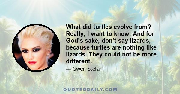 What did turtles evolve from? Really, I want to know. And for God’s sake, don’t say lizards, because turtles are nothing like lizards. They could not be more different.