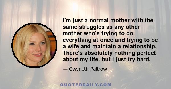 I'm just a normal mother with the same struggles as any other mother who's trying to do everything at once and trying to be a wife and maintain a relationship. There's absolutely nothing perfect about my life, but I