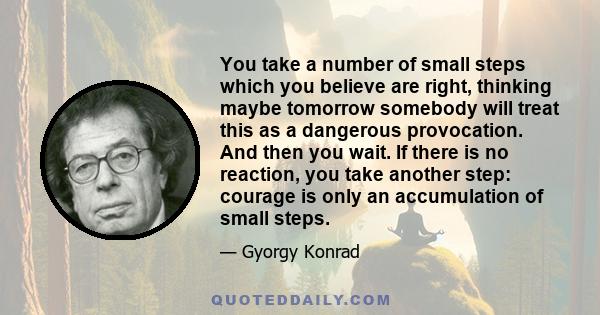 You take a number of small steps which you believe are right, thinking maybe tomorrow somebody will treat this as a dangerous provocation. And then you wait. If there is no reaction, you take another step: courage is