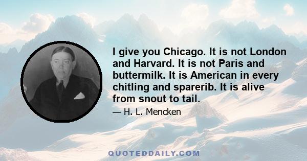 I give you Chicago. It is not London and Harvard. It is not Paris and buttermilk. It is American in every chitling and sparerib. It is alive from snout to tail.