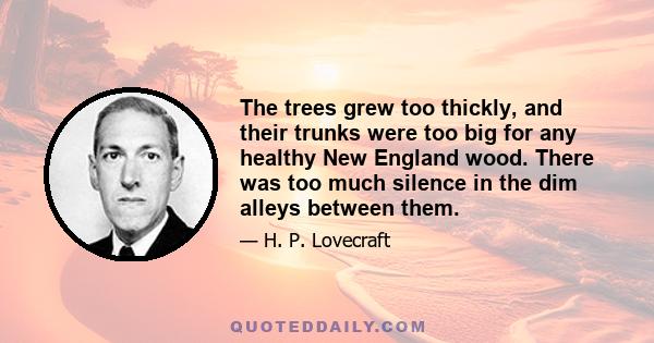 The trees grew too thickly, and their trunks were too big for any healthy New England wood. There was too much silence in the dim alleys between them.