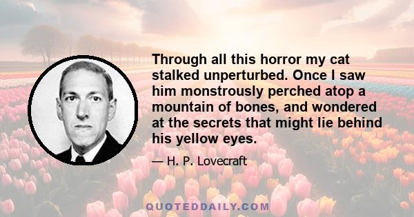 Through all this horror my cat stalked unperturbed. Once I saw him monstrously perched atop a mountain of bones, and wondered at the secrets that might lie behind his yellow eyes.