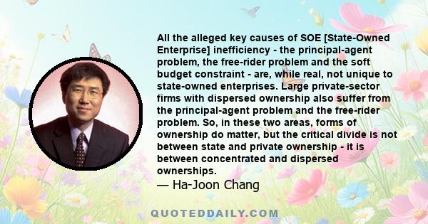 All the alleged key causes of SOE [State-Owned Enterprise] inefficiency - the principal-agent problem, the free-rider problem and the soft budget constraint - are, while real, not unique to state-owned enterprises.