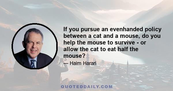 If you pursue an evenhanded policy between a cat and a mouse, do you help the mouse to survive - or allow the cat to eat half the mouse?