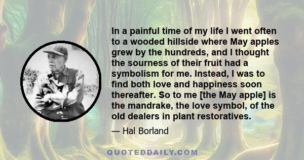 In a painful time of my life I went often to a wooded hillside where May apples grew by the hundreds, and I thought the sourness of their fruit had a symbolism for me. Instead, I was to find both love and happiness soon 