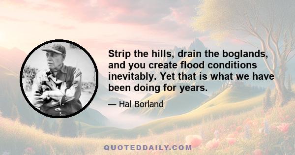 Strip the hills, drain the boglands, and you create flood conditions inevitably. Yet that is what we have been doing for years.