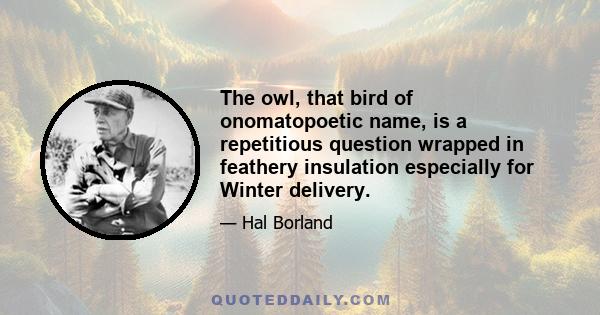 The owl, that bird of onomatopoetic name, is a repetitious question wrapped in feathery insulation especially for Winter delivery.