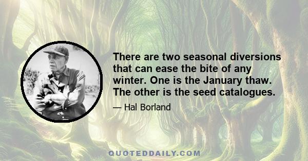 There are two seasonal diversions that can ease the bite of any winter. One is the January thaw. The other is the seed catalogues.