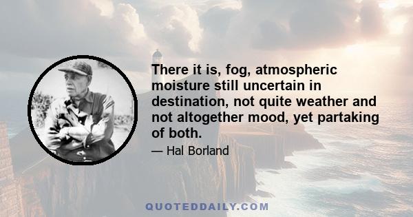 There it is, fog, atmospheric moisture still uncertain in destination, not quite weather and not altogether mood, yet partaking of both.