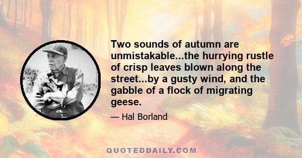 Two sounds of autumn are unmistakable...the hurrying rustle of crisp leaves blown along the street...by a gusty wind, and the gabble of a flock of migrating geese.