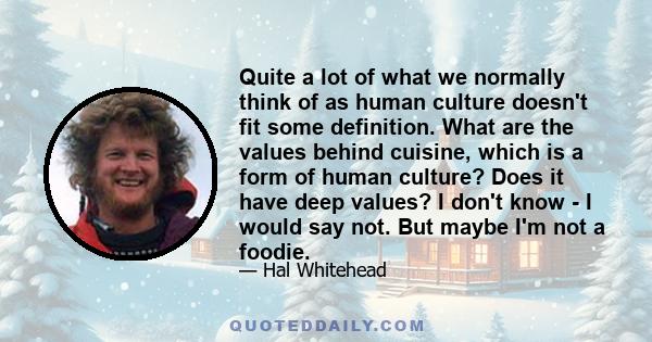 Quite a lot of what we normally think of as human culture doesn't fit some definition. What are the values behind cuisine, which is a form of human culture? Does it have deep values? I don't know - I would say not. But