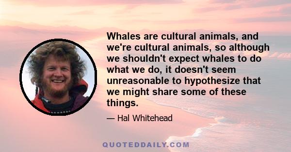 Whales are cultural animals, and we're cultural animals, so although we shouldn't expect whales to do what we do, it doesn't seem unreasonable to hypothesize that we might share some of these things.