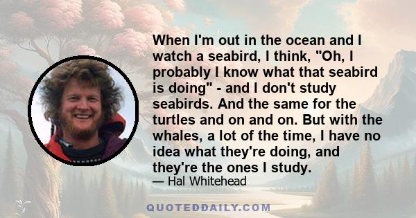 When I'm out in the ocean and I watch a seabird, I think, Oh, I probably I know what that seabird is doing - and I don't study seabirds. And the same for the turtles and on and on. But with the whales, a lot of the