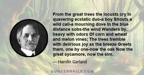 From the great trees the locusts cry In quavering ecstatic duo-a boy Shouts a wild call-a mourning dove In the blue distance sobs-the wind Wanders by, heavy with odors Of corn and wheat and melon vines; The trees