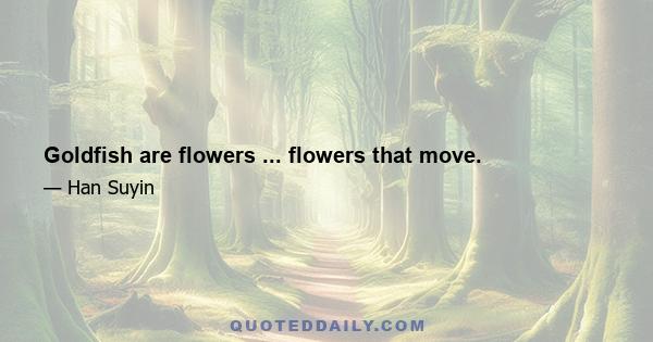 Goldfish are flowers ... flowers that move.