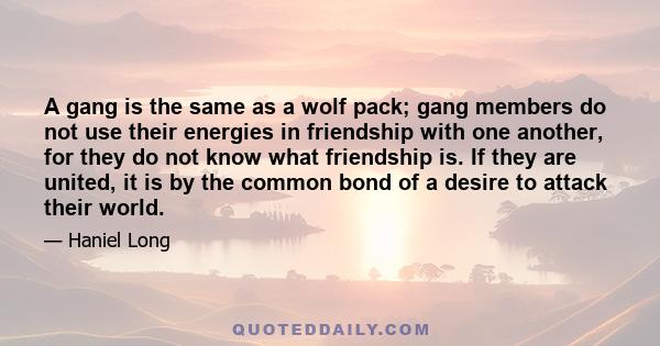 A gang is the same as a wolf pack; gang members do not use their energies in friendship with one another, for they do not know what friendship is. If they are united, it is by the common bond of a desire to attack their 