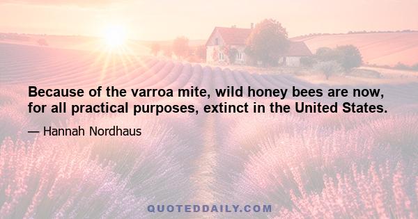 Because of the varroa mite, wild honey bees are now, for all practical purposes, extinct in the United States.