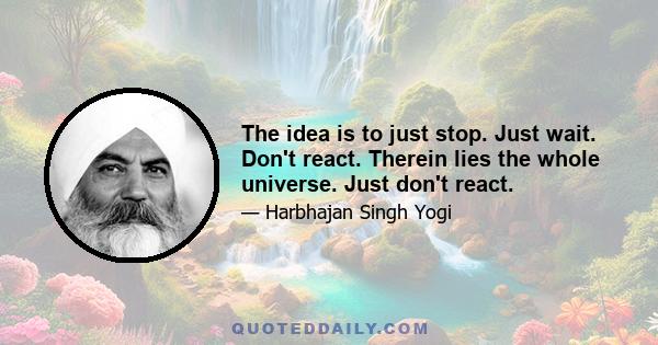 The idea is to just stop. Just wait. Don't react. Therein lies the whole universe. Just don't react.