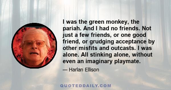 I was the green monkey, the pariah. And I had no friends. Not just a few friends, or one good friend, or grudging acceptance by other misfits and outcasts. I was alone. All stinking alone, without even an imaginary