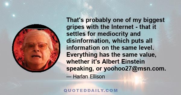 That's probably one of my biggest gripes with the Internet - that it settles for mediocrity and disinformation, which puts all information on the same level. Everything has the same value, whether it's Albert Einstein