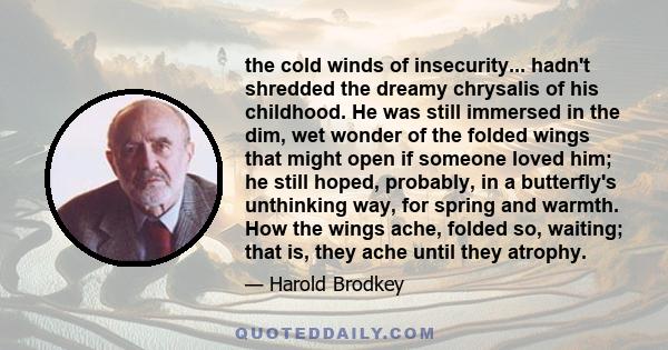 the cold winds of insecurity... hadn't shredded the dreamy chrysalis of his childhood. He was still immersed in the dim, wet wonder of the folded wings that might open if someone loved him; he still hoped, probably, in