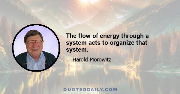 The flow of energy through a system acts to organize that system.