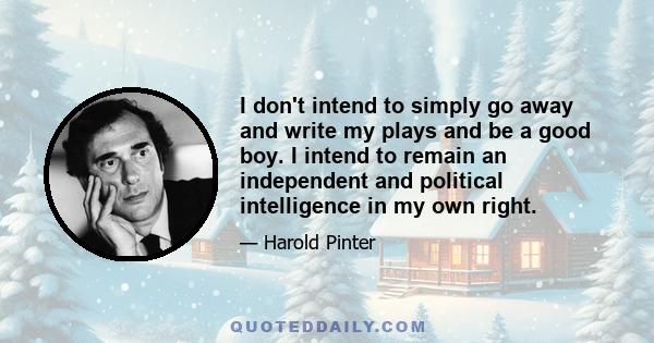 I don't intend to simply go away and write my plays and be a good boy. I intend to remain an independent and political intelligence in my own right.