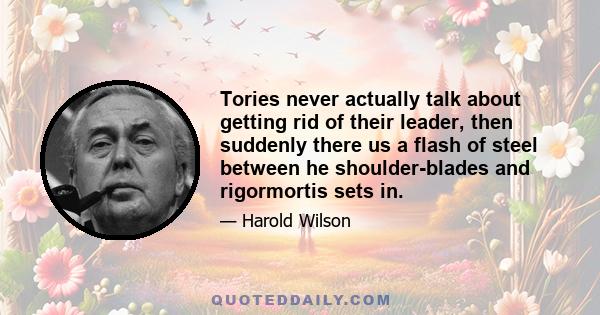 Tories never actually talk about getting rid of their leader, then suddenly there us a flash of steel between he shoulder-blades and rigormortis sets in.