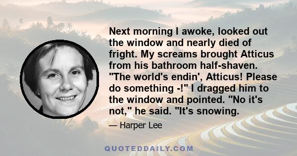 Next morning I awoke, looked out the window and nearly died of fright. My screams brought Atticus from his bathroom half-shaven. The world's endin', Atticus! Please do something -! I dragged him to the window and