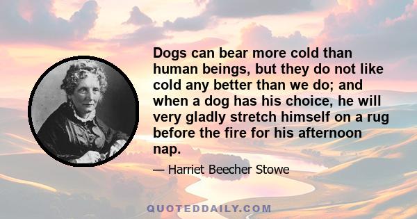 Dogs can bear more cold than human beings, but they do not like cold any better than we do; and when a dog has his choice, he will very gladly stretch himself on a rug before the fire for his afternoon nap.