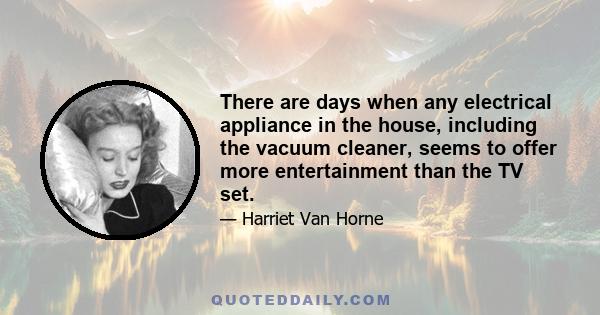 There are days when any electrical appliance in the house, including the vacuum cleaner, seems to offer more entertainment than the TV set.