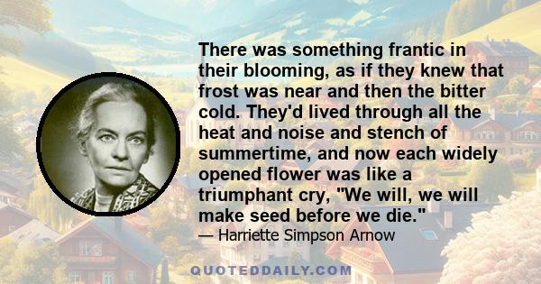 There was something frantic in their blooming, as if they knew that frost was near and then the bitter cold. They'd lived through all the heat and noise and stench of summertime, and now each widely opened flower was