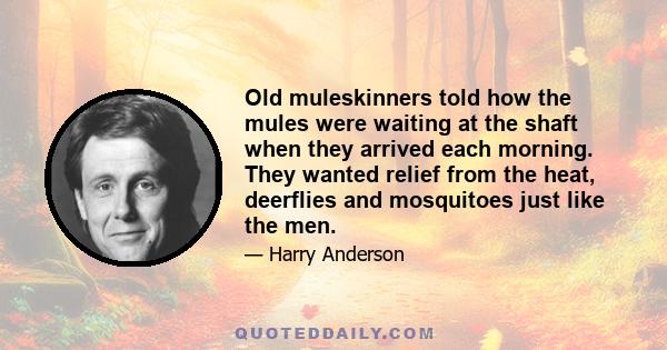 Old muleskinners told how the mules were waiting at the shaft when they arrived each morning. They wanted relief from the heat, deerflies and mosquitoes just like the men.