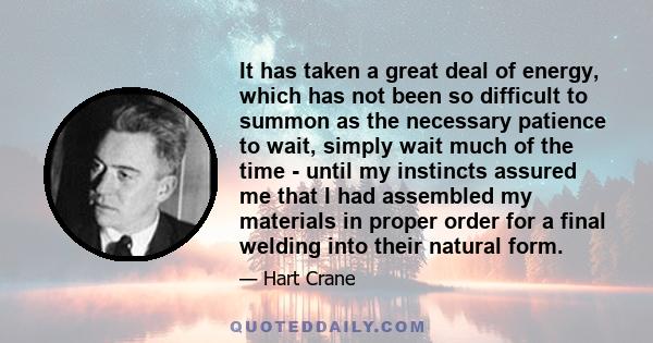 It has taken a great deal of energy, which has not been so difficult to summon as the necessary patience to wait, simply wait much of the time - until my instincts assured me that I had assembled my materials in proper