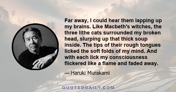 Far away, I could hear them lapping up my brains. Like Macbeth's witches, the three lithe cats surrounded my broken head, slurping up that thick soup inside. The tips of their rough tongues licked the soft folds of my