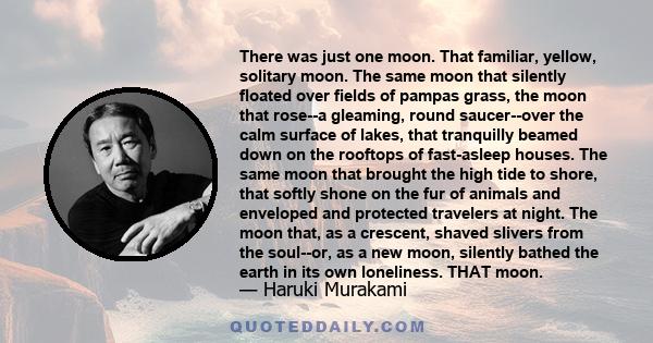 There was just one moon. That familiar, yellow, solitary moon. The same moon that silently floated over fields of pampas grass, the moon that rose--a gleaming, round saucer--over the calm surface of lakes, that