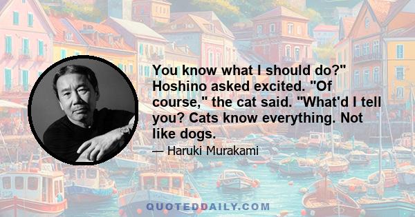 You know what I should do? Hoshino asked excited. Of course, the cat said. What'd I tell you? Cats know everything. Not like dogs.