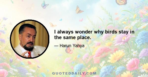 I always wonder why birds stay in the same place.