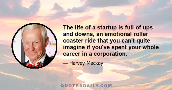 The life of a startup is full of ups and downs, an emotional roller coaster ride that you can't quite imagine if you've spent your whole career in a corporation.