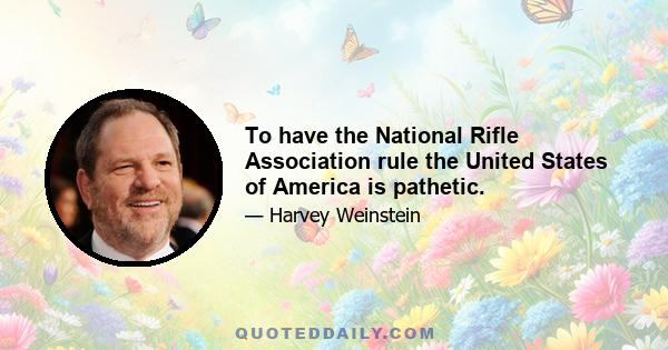 To have the National Rifle Association rule the United States of America is pathetic.