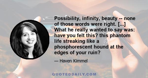 Possibility, infinity, beauty -- none of those words were right. [...] What he really wanted to say was: have you felt this? this phantom life streaking like a phosphorescent hound at the edges of your ruin?