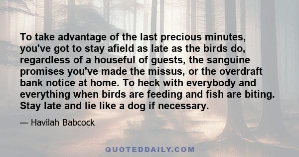 To take advantage of the last precious minutes, you've got to stay afield as late as the birds do, regardless of a houseful of guests, the sanguine promises you've made the missus, or the overdraft bank notice at home.