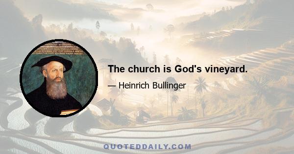 The church is God's vineyard.