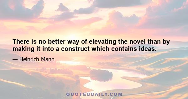 There is no better way of elevating the novel than by making it into a construct which contains ideas.